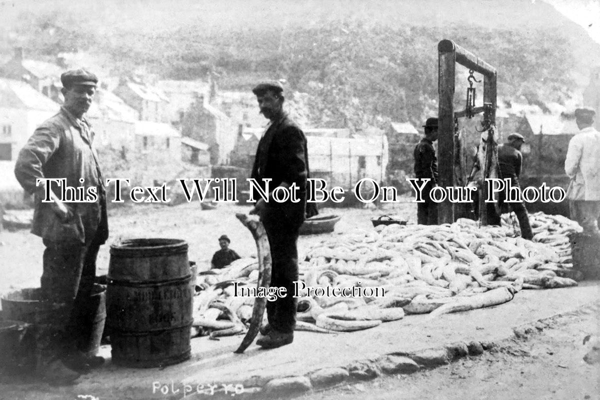 CO 597 - Fish Sellers, Polperro, Cornwall