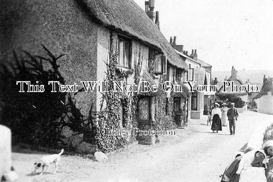 CO 605 - Castle Road, St Mawes, Cornwall