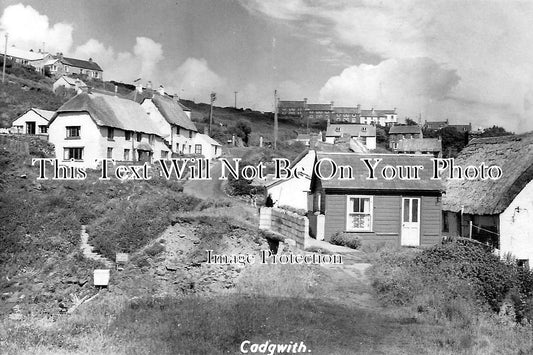 CO 801 - Cadgwith, Cornwall