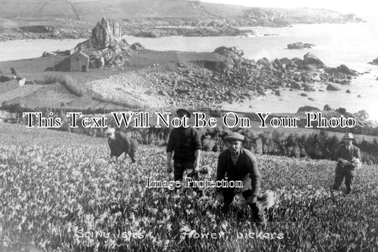 CO 806 - Flower Pickers, Isles Of Scilly, Cornwall