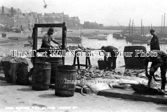 CO 884 - Sorting Fish, St Ives, Cornwall