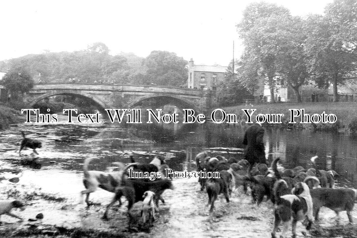 CU 1044 - Otter Hounds At Appleby, Cumbria c1927