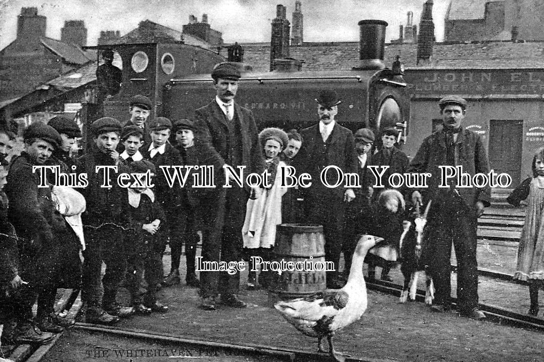 CU 118 - The Whitehaven Pet Goose, Cumbria, Cumberland 1906