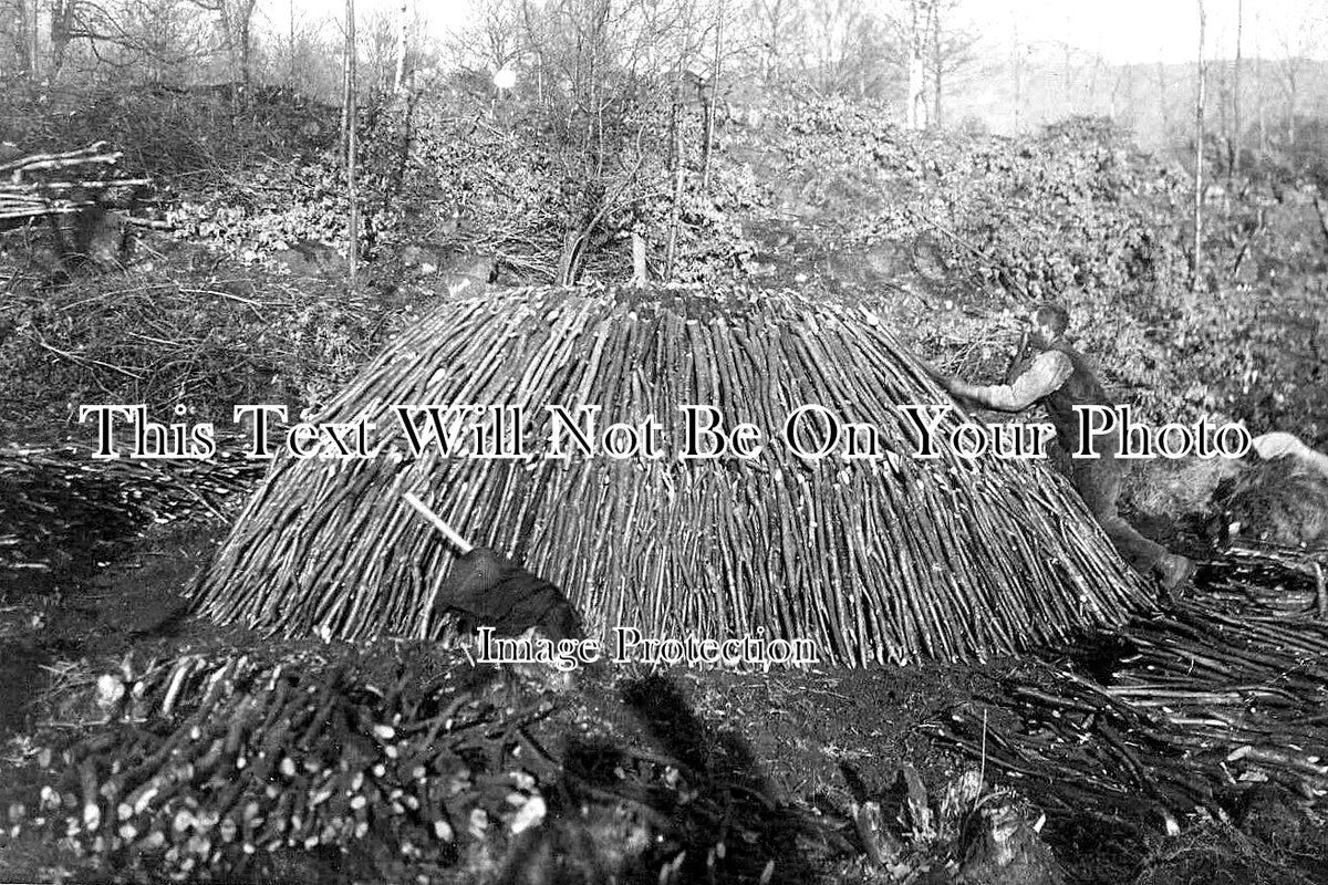 CU 1281 - Stacking Hazel Wood At Sawrey, Cumbria