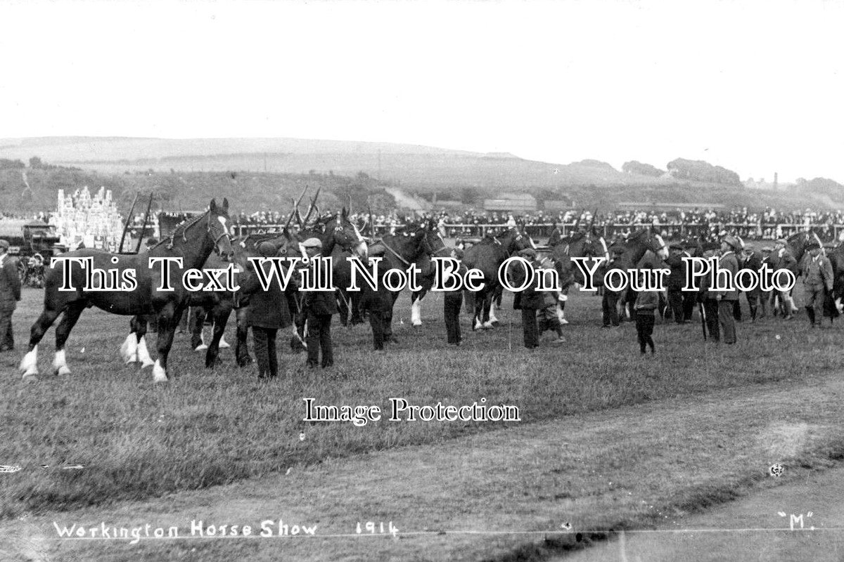 CU 1305 - Workington Horse Show, Cumbria 1914