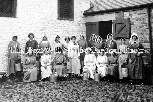 CU 1385 - Milkmaids At Newton Rigg, Penrith, Cumbria c1910