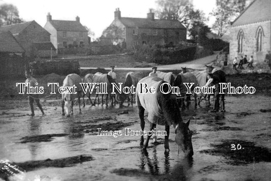 CU 1816 - Military Watering Horses, Blencow, Cumbria 1914 WW1