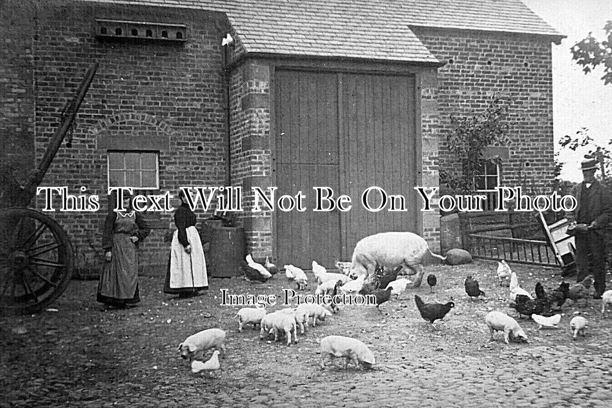 CU 2042 - Farm Yard At Brackenlands, Cumbria c1905