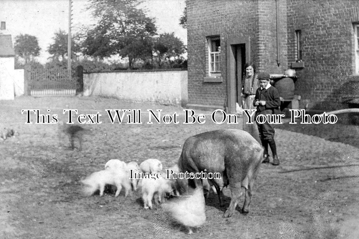 CU 452 - Kingsmoor Farm, Carlisle, Cumberland, Cumbria c1915