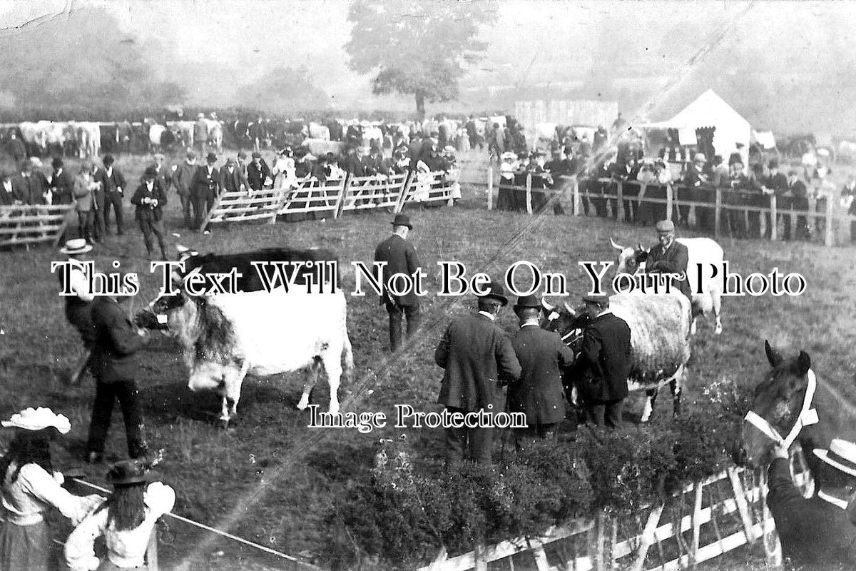 CU 533 - Ireby Cattle Show, Cumbria, Cumberland