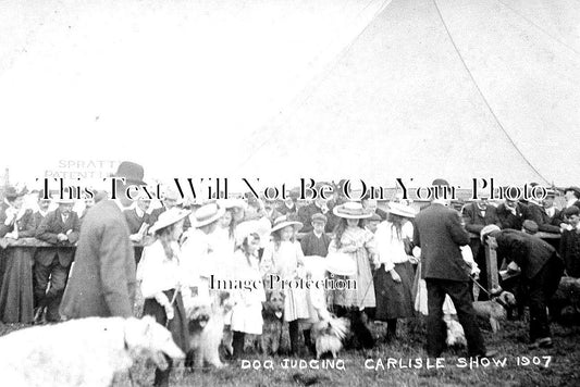 CU 649 - Dog Judging, Carlisle Show, Cumberland, Cumbria 1907