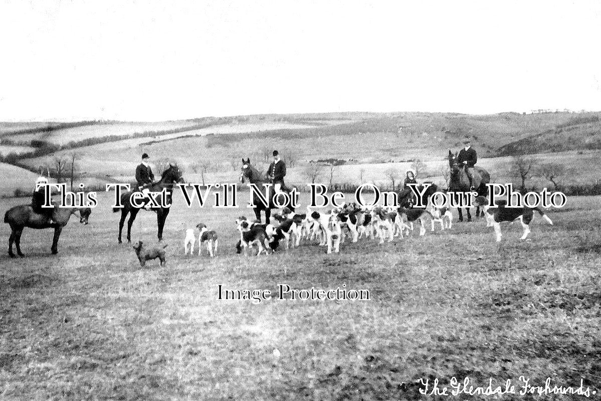 CU 784 - Glendale Fox Hounds, Berryhill Norham, Cumbria c1908