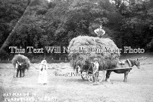 CU 819 - Hay Making At Wreay, Carlisle, Cumbria