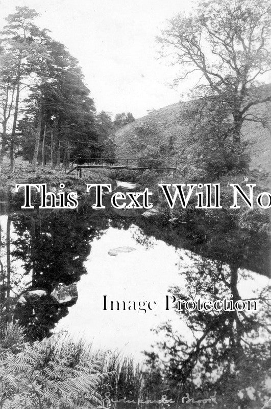 DE 1021 - Swincombe Moors, Devon c1924