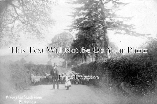 DE 1121 - Hemyock, Devon c1906