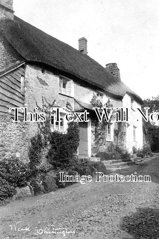 DE 1137 - Week Dartington, Totnes, Devon