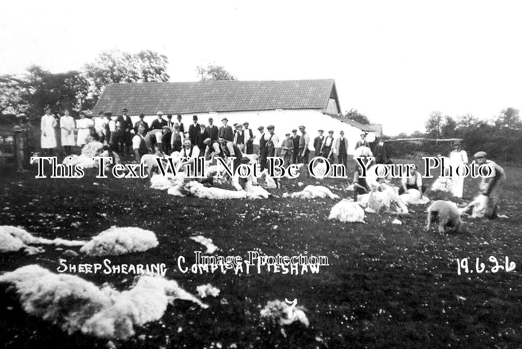 DE 1286 - Sheep Shearing Competition, Meshaw, South Molton, Devon 1926