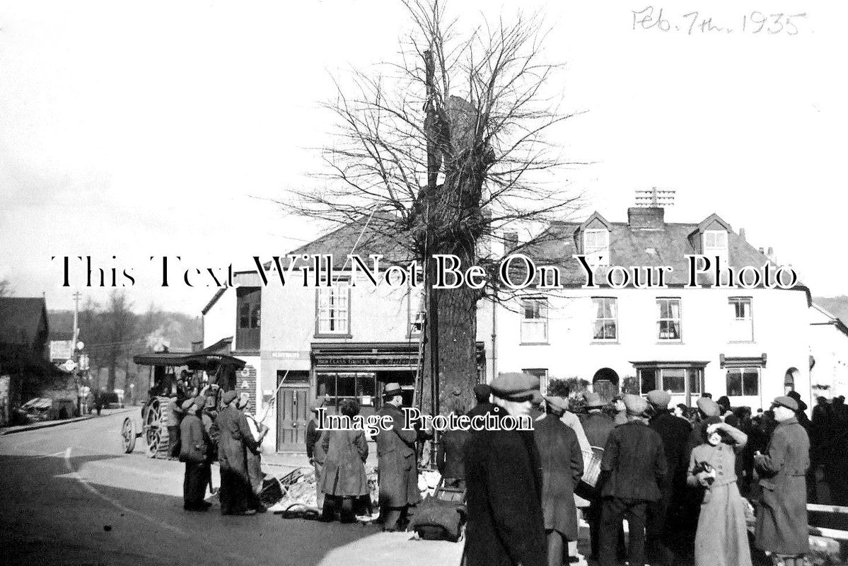 DE 1287 - Cutting Down The Tree In Braunton Square, Devon 1935