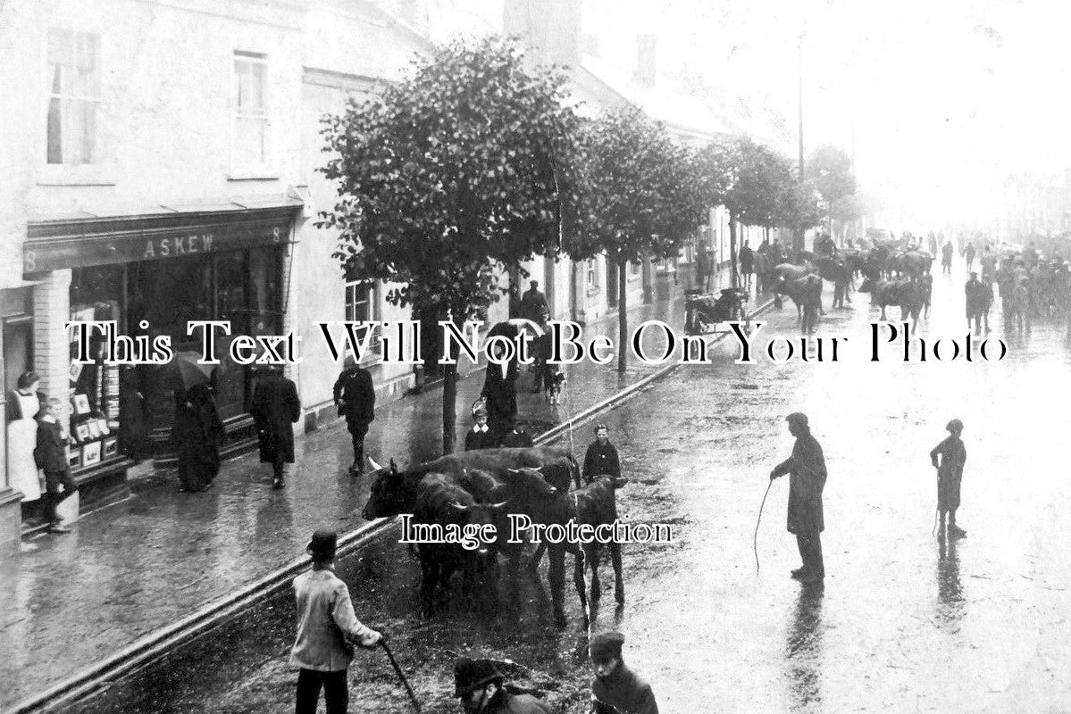 DE 1296 - South Molton, Devon c1930