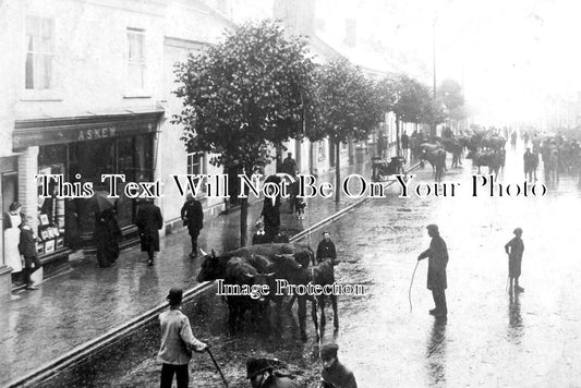 DE 1296 - South Molton, Devon c1930