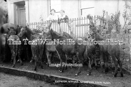DE 1322 - Exmoor Ponies, Bampton Fair, Devon
