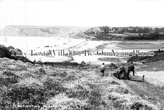 DE 1349 - Salterton Harvesting, Budeleigh, Devon