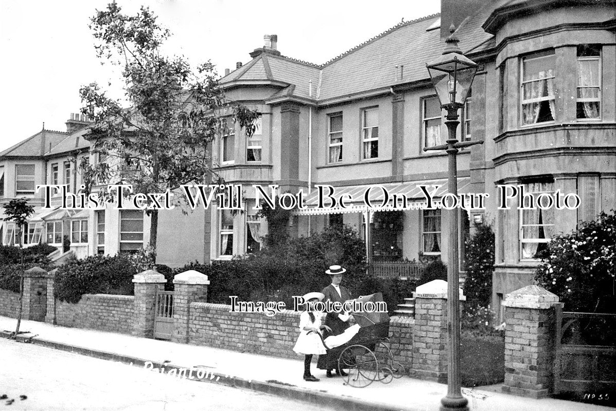 DE 1373 - Adelphi Road, Paignton, Devon c1908
