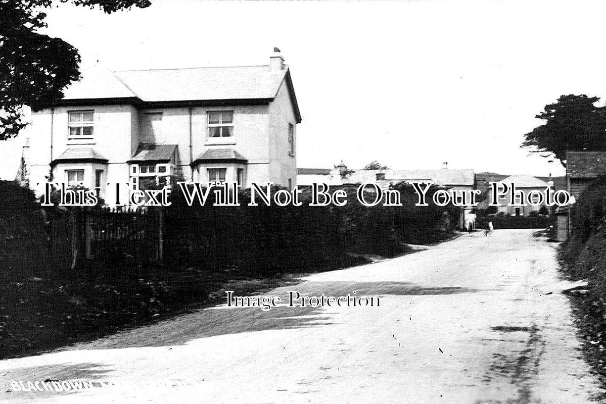 DE 1399 - Blackdown, Mary Tavy, Devon