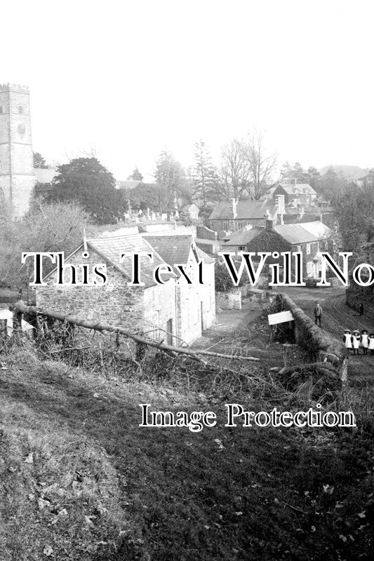 DE 1420 - Ashprington, Devon c1905