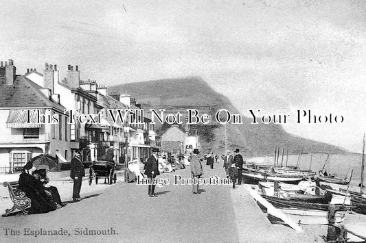 DE 144 - The Esplanade, Sidmouth, Devon c1900s