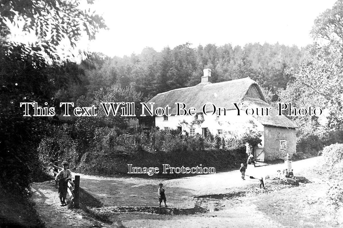 DE 1601 - Rose Ash Near South Molton, Devon c1917