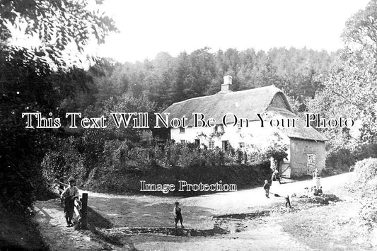 DE 1601 - Rose Ash Near South Molton, Devon c1917