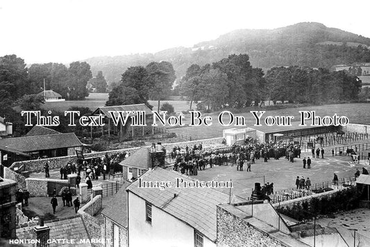 DE 1625 - Honiton Cattle Market, Devon