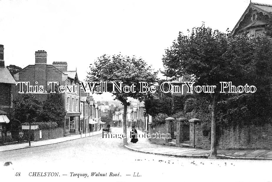 DE 1639 - Walnut Road, Chelston, Torquay, Devon