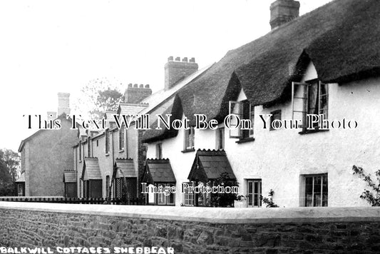 DE 1649 - Balkwill Cottages, Shebbear, Devon c1910