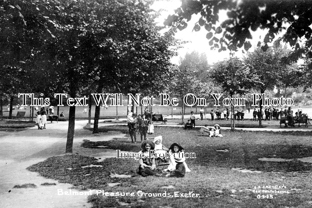 DE 1668 - Belmont Pleasure Grounds, Exeter, Devon