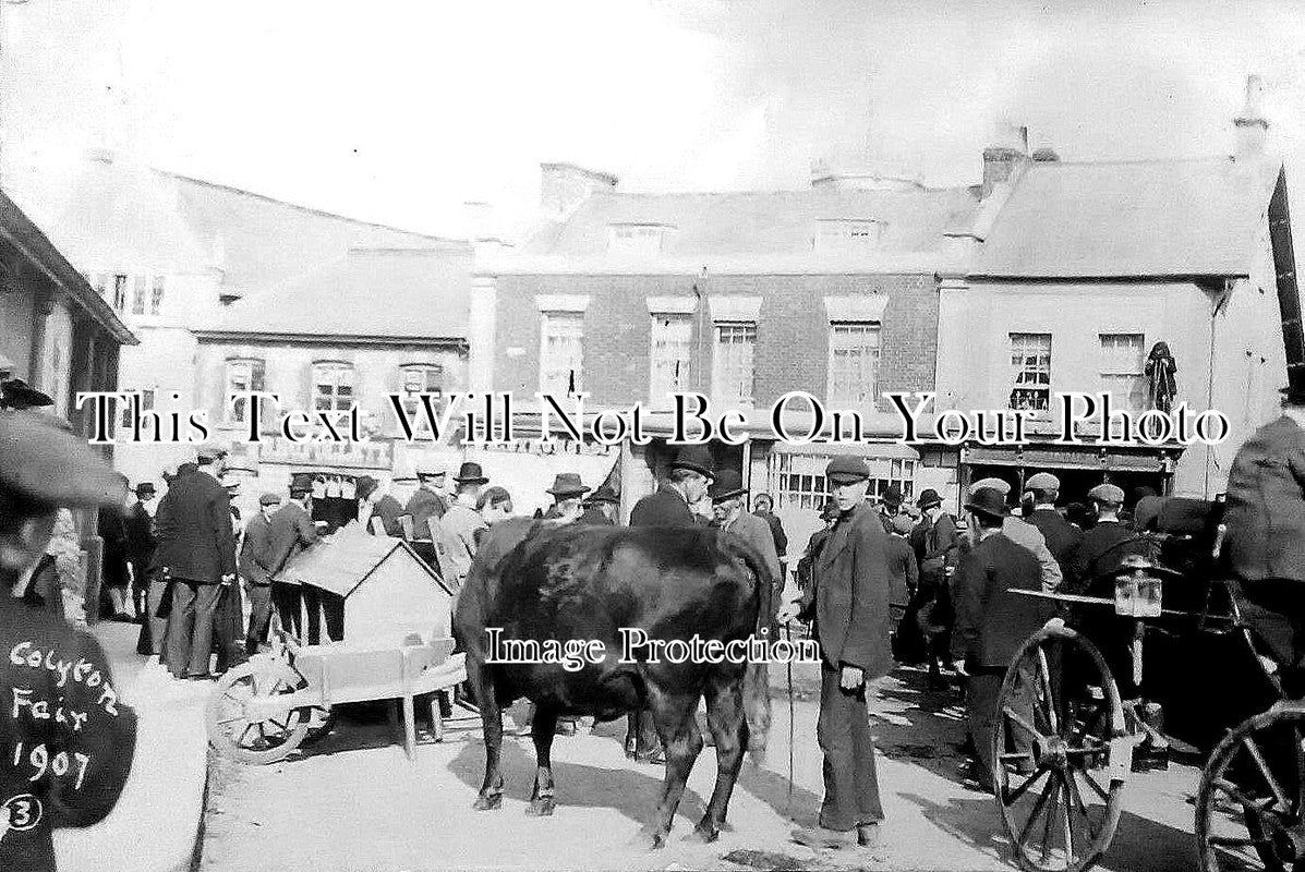 DE 1771 - Colyton Fair, Devon 1907