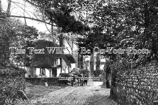 DE 1776 - Old Thatched Cottage, Sidmouth, Devon