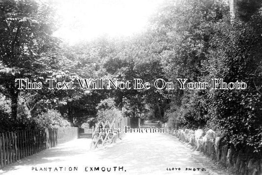 DE 1827 - Plantation, Exmouth, Devon