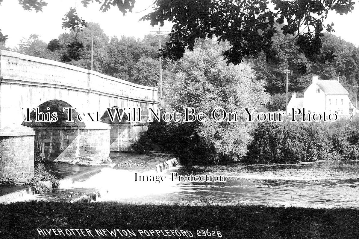 DE 1859 - River Otter, Newton Poppleford, Devon