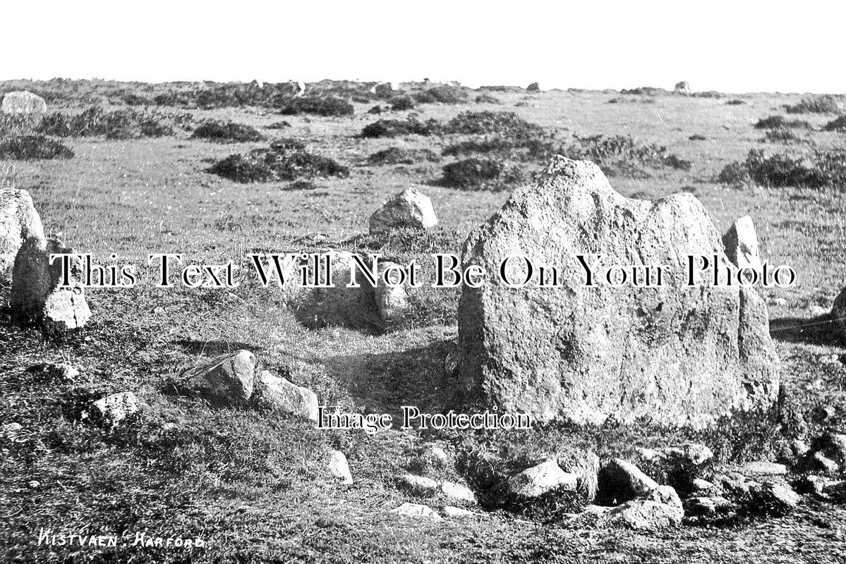 DE 1882 - Kistvaen, Harford, Devon