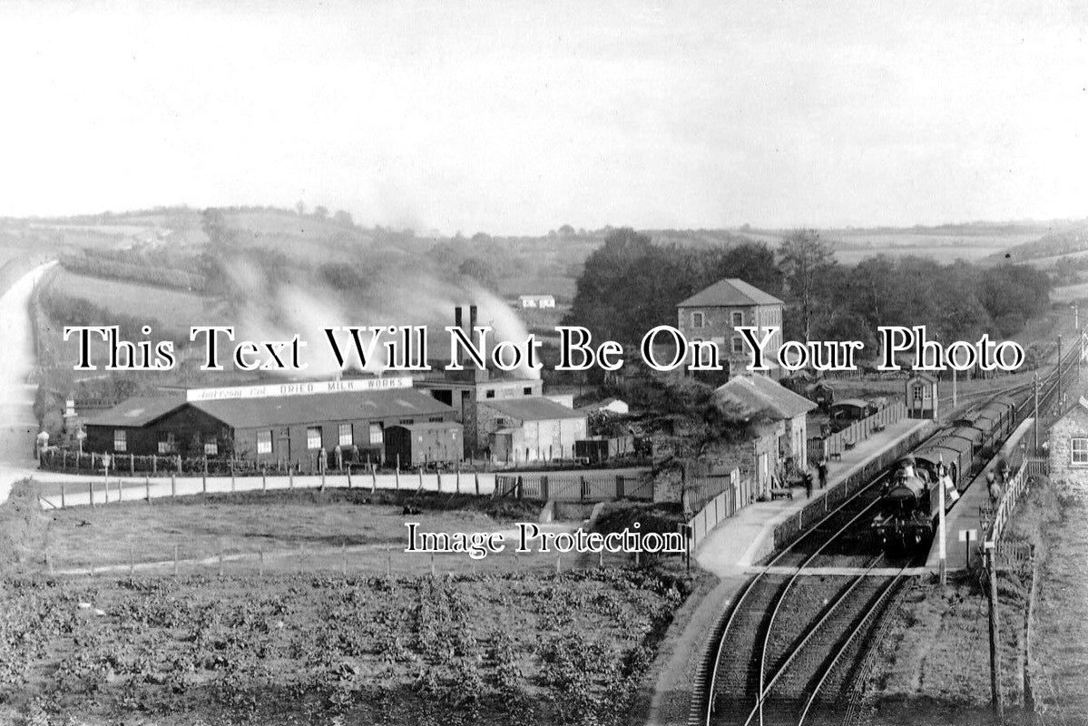 DE 1913 - Ambrosia Milk Factory Railway Station, Tinhay Lifton, Devon