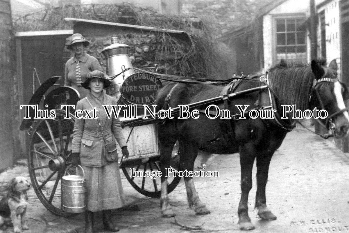 DE 1922 - Milk Delivery Cart, Tedbury Dairy, Sidmouth, Devon