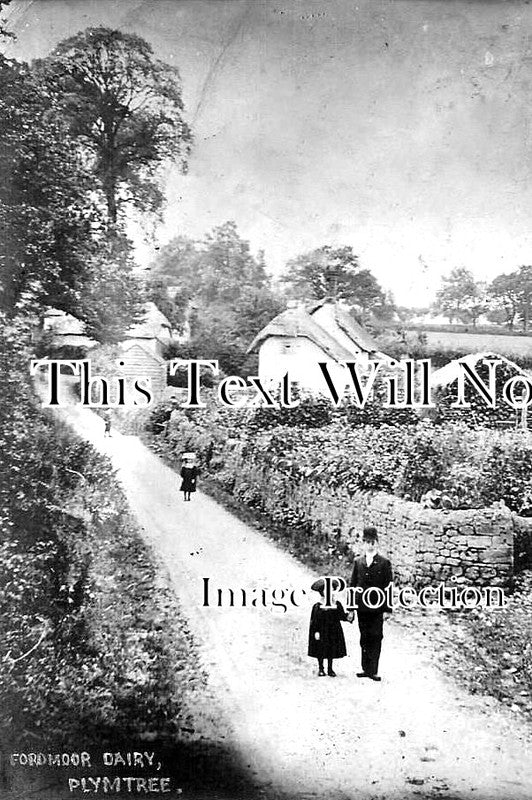 DE 2026 - Fordmoor Dairy, Plymtree, Devon c1905