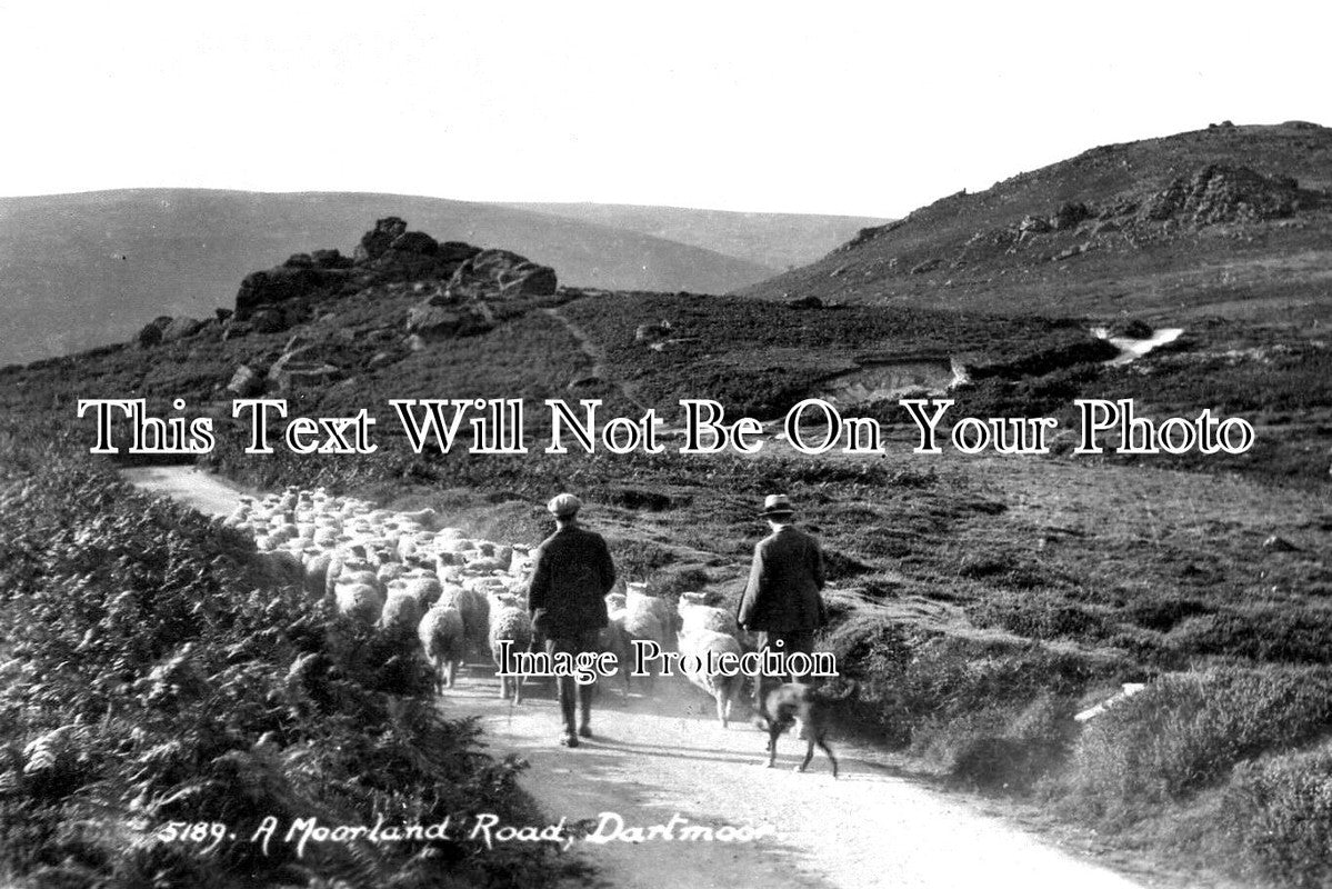 DE 2036 - A Moorland Road, Dartmoor, Devon
