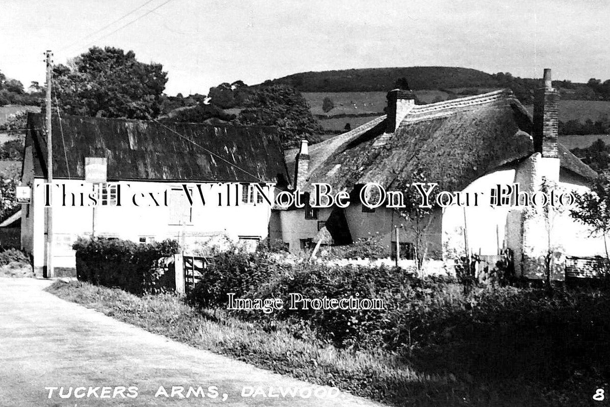 DE 2060 - Tuckers Arms, Dalwood, Devon