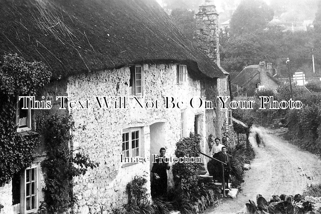 DE 2092 - Old Cottages, Torre, Yealmpton, Devon c1908