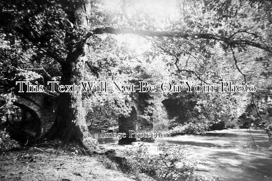 DE 2113 - Plym Bridge, Leemoor, Devon c1904