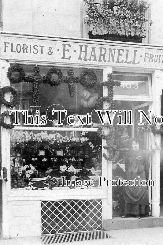 DE 2180 - E Harnell Florist Shop, Exeter, Devon c1919