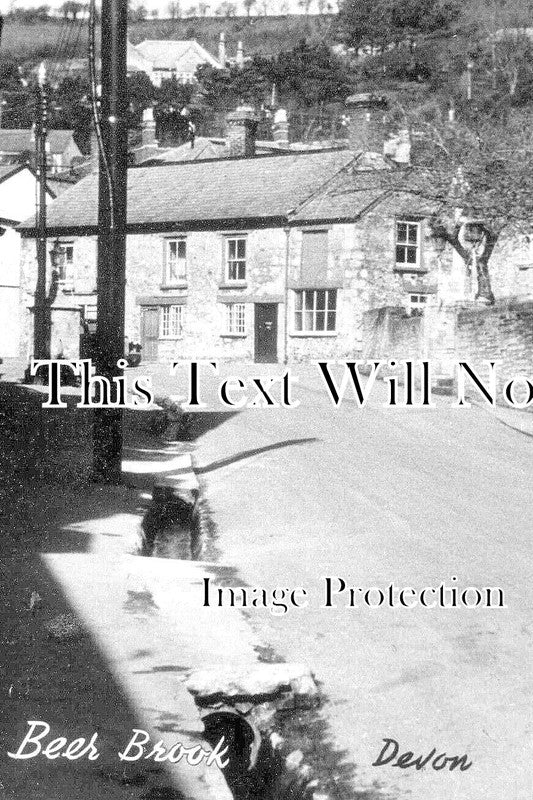 DE 2196 - Beer Brook, Devon